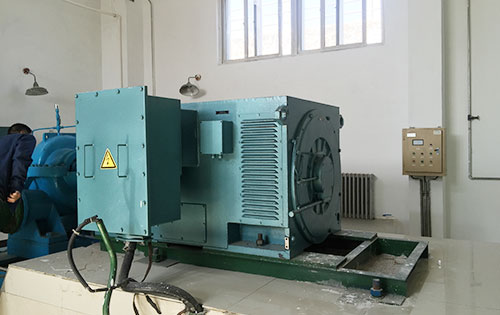 Y560-10某水电站工程主水泵使用我公司高压电机生产厂家