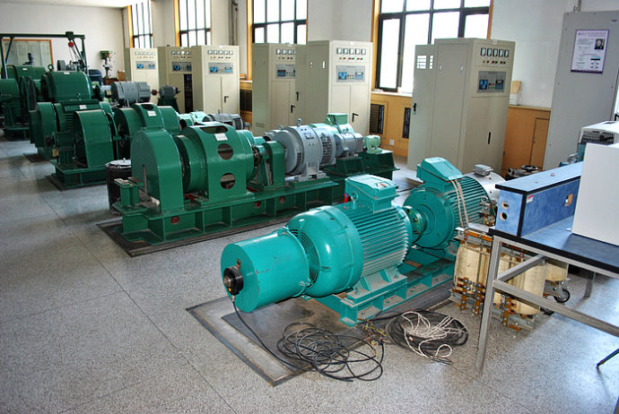 Y560-10某热电厂使用我厂的YKK高压电机提供动力